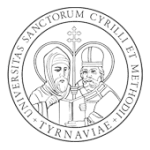 Stavebn&aacute; firma Pra&scaron;n&iacute;k, Vrbov&eacute;, Pie&scaron;ťany – Na&scaron;e služby